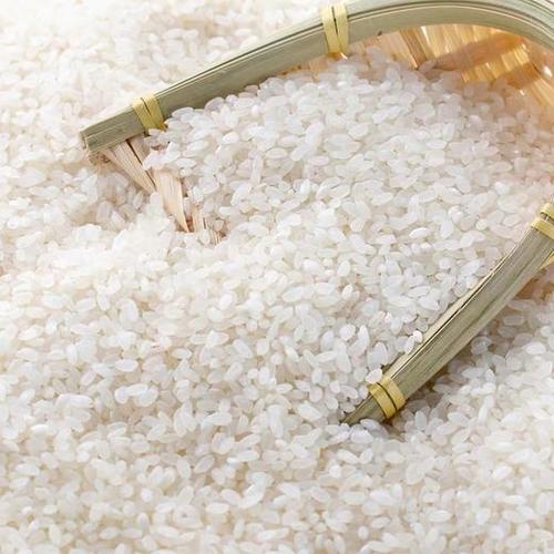 中国制造买1送1共10kg袁蒙海水稻盐碱地大米